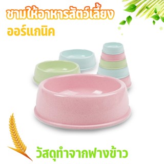 ชามใส่อาหารออร์แกนิค ชามอาหารสัตว์เลี้ยง ชามอาหารหมา ชามอาหารแมว Organic pet bowl (พร้อมส่งในไทย)