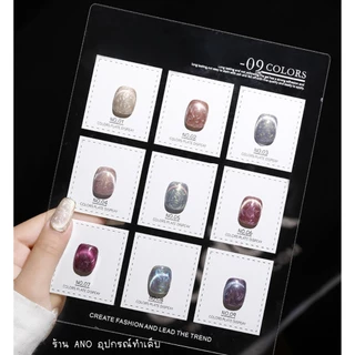 สีทาเล็บเจลลูกแก้ว สีแม่เหล็กเปลือกหอย ประกายไข่มุก 2in1 สีเจล AS รหัส ALM 9สี