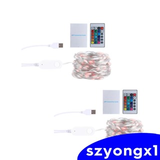 [Szyongx1] สายไฟหิ่งห้อย LED รูปลูกโลก USB สําหรับบาร์ และหลังคา