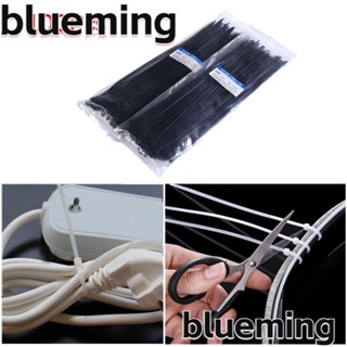 Blueming2 สายเคเบิลไทร์ ล็อคในตัว คุณภาพสูง 100 ชิ้น