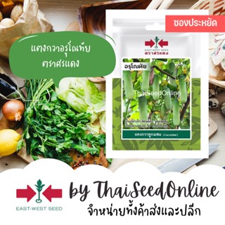 VP3 ซฟ เมล็ดพันธุ์ แตงกวาลูกผสม อรุโณทัย 20เมล็ด ตราศรแดง Short Cucumber