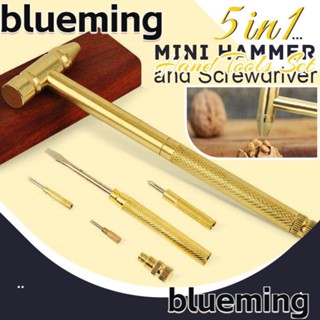 Blueming2 ค้อนทองเหลือง ทรงกลม อเนกประสงค์ 5 in 1 สําหรับครัวเรือน