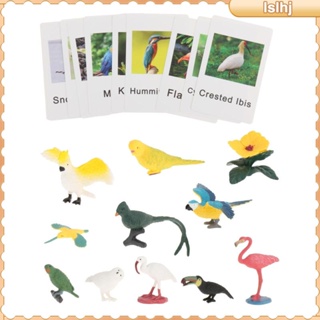 [Lslhj] Montessori ไม้ขีดไฟ รูปสัตว์ ของเล่นเสริมการเรียนรู้ สําหรับเด็กก่อนวัยเรียน