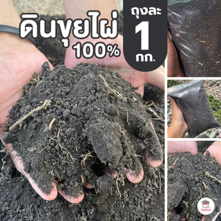 [ 1 กก. ] ดินขุยไผ่ 100% ส่วนผสมดินปลูกแคคตัส&ไม้อวบน้ำ