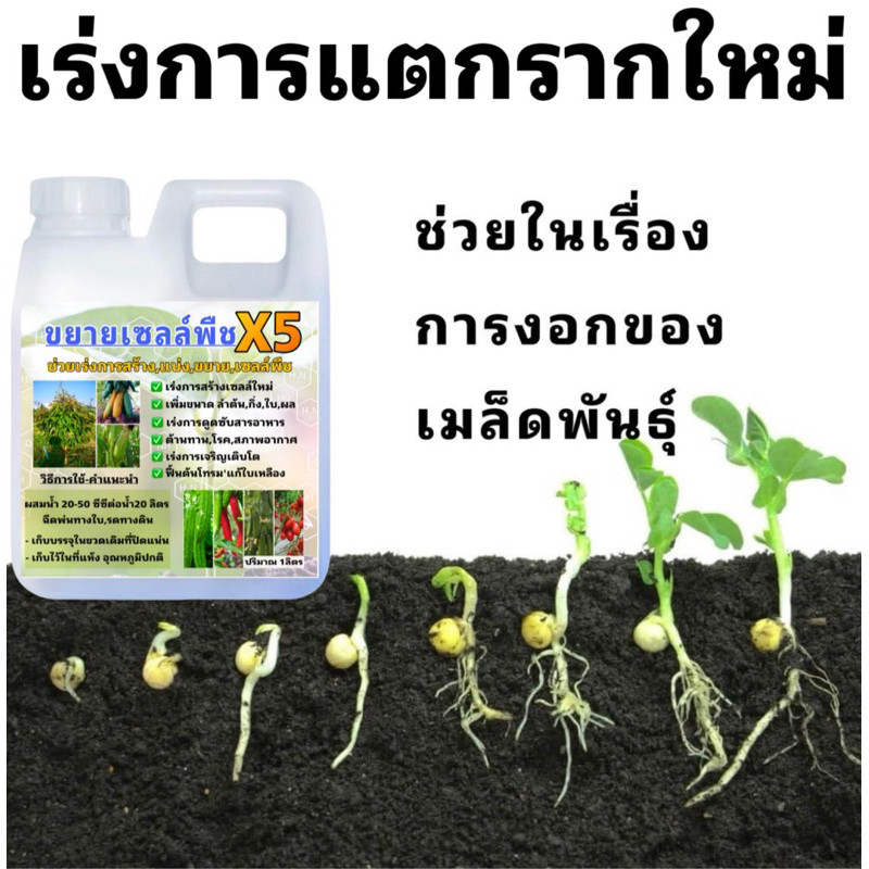 หัวเชื้อ ขยายเซลล์พืชX5 ปริมาณ 1 ลิตร