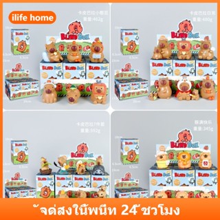 💥จัดส่งจากประเทศไทย💥6 ชิ้น/กล่อง Capybara น่ารักการ์ตูนอะนิเ…