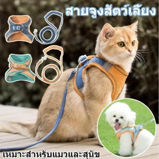 สายรัดอกแมวและสุนัข ฟรีสายจูง เสื้อรัดอกแมว ระบายความร้อน เสื้อกั๊กสัตว์เลี้ยง sสายรัดและสายจูงแมวสําหรับเดินหนีหลักฐาน