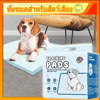 6 ระดับ หนาขึ้น แผ่นรองฉี่ แผ่นรองฉี่สุนัข แผ่นรองฉี่แมว ช่วยฝึกขับถ่าย ซึมซับได้ดี กักเก็บกลิ่น แผ่นรองซับดูดซึมได้ดี