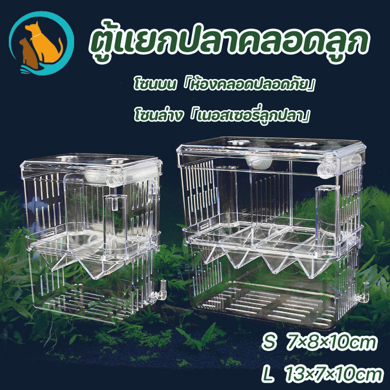 ตู้แยกปลาคลอดลูก กล่องแยกปลา 2 ช่อง สีใส ขนาด S/M สำหรับแยกปลาเล็ก ปลาป่วย ปลากัด ใช้กับตู้ปลาทุกชนิด