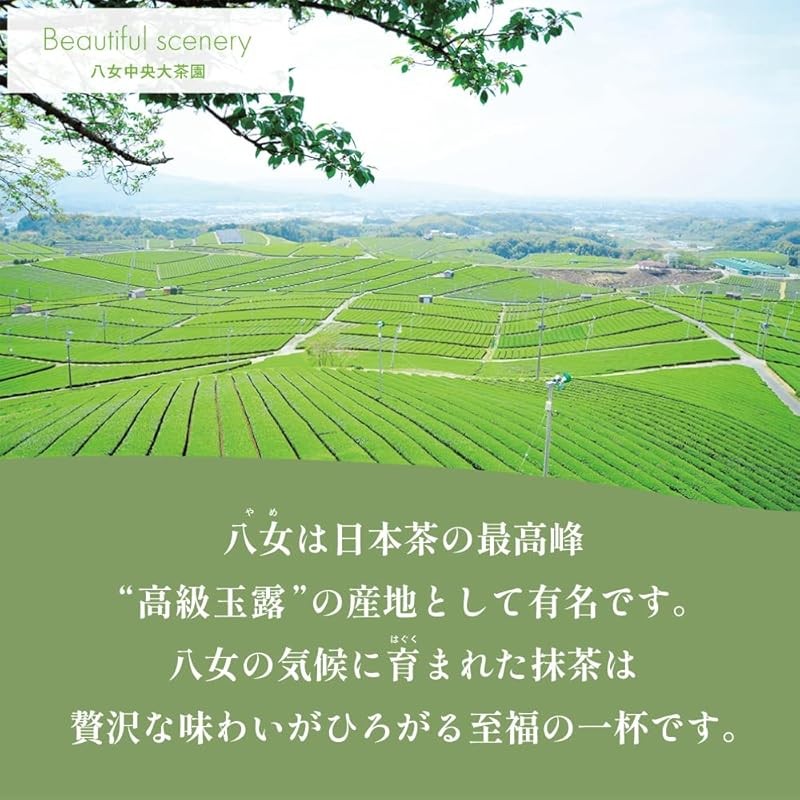 Yame Matcha 111g x 2 bags set Large capacity 222g Matcha powder Fukuoka Prefecture Yame 100% - รูปที่ 4