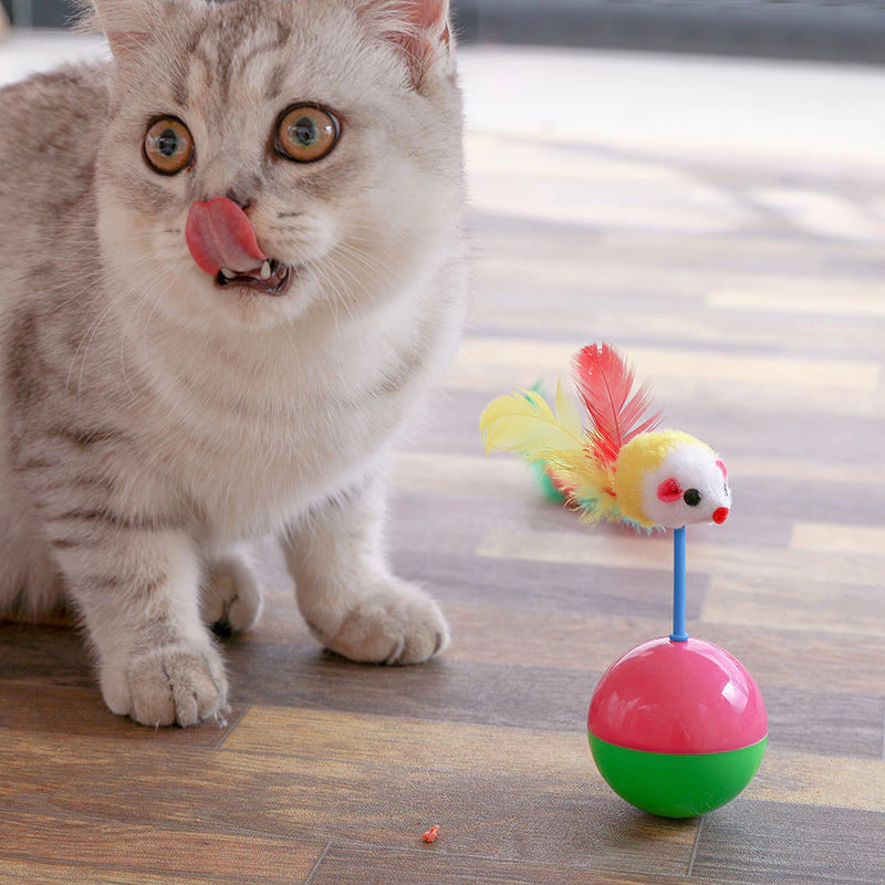 Pet Record ลูกบอลล้มลุก ของเล่นแมว กระตุ้นสัญชาตญาณล่าเหยื่อ thumbnail 4