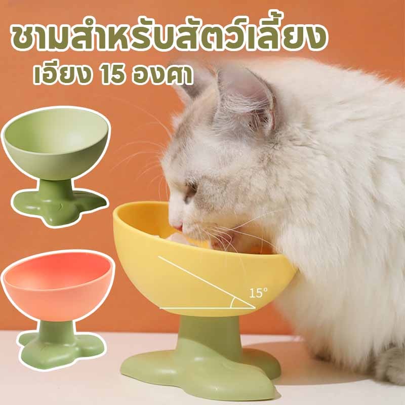 พร้อมส่ง ชามสำหรับสัตว์เลี้ยง ที่ใส่อาหารสัตว์เลี้ยง น่ารักมาก เอียง 15 องศา ปกป้องกระดูกสันหลังส่วนคอ