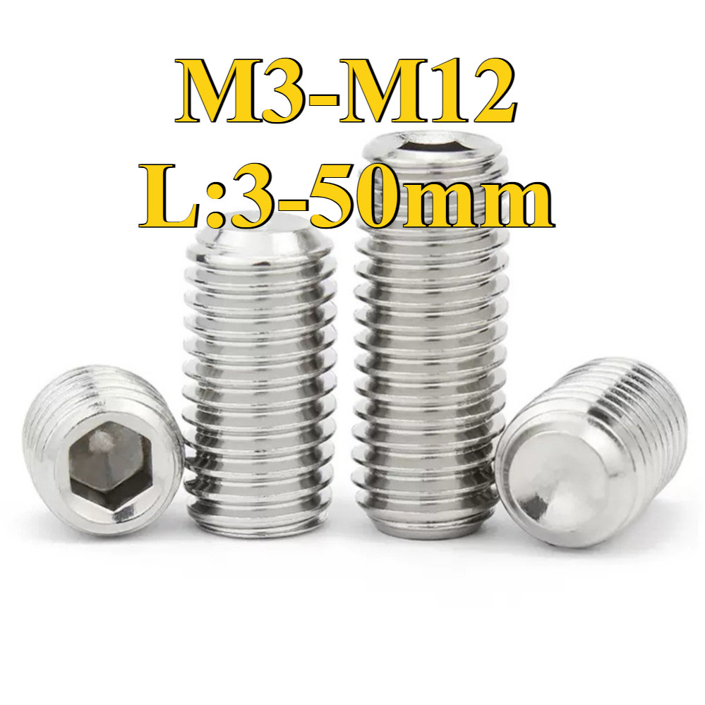 สกรูกระชับเว้าสแตนเลส 316 M3/M4/M5/M6/M8/M10/M12-L3-50mm (DM) (Y19) (x19)