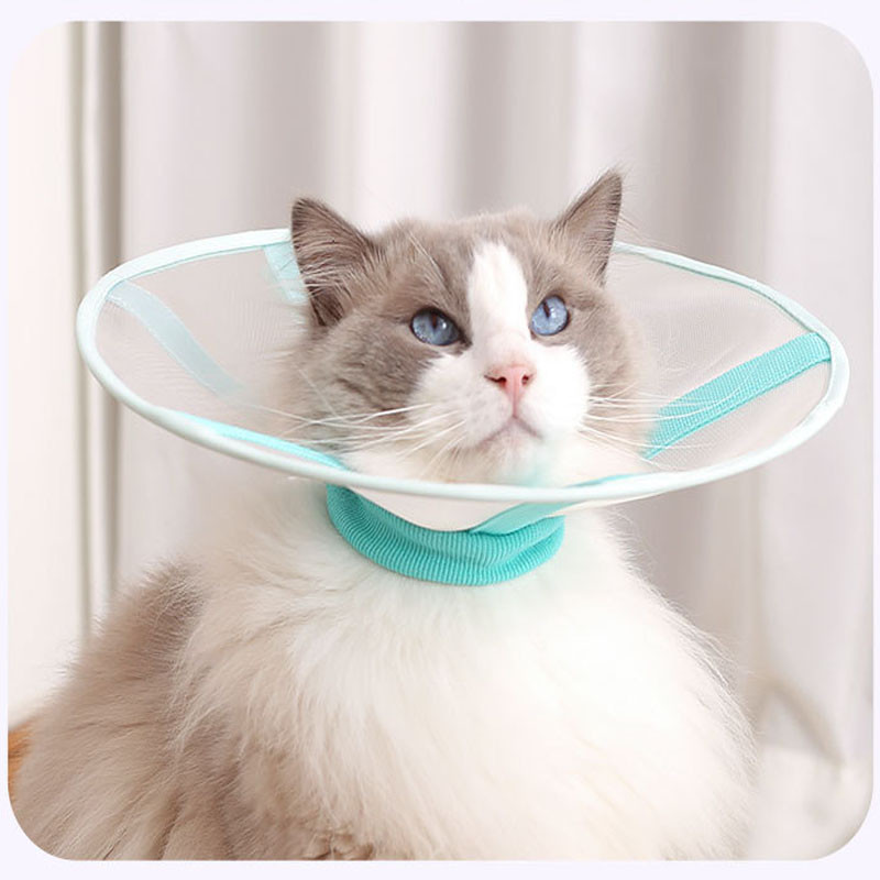ปลอกคอกันเลีย คอลล่าแมว คอลล่าสุนัข นุ่มและสะดวกสบาย Pet Elizabeth Collar เลี้ยง คอลล่ากันเลีย ราคา ถูกที่สุด ดีลบีเคเค แกลเลอรีภาพที่ 6