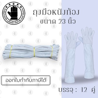 ถุงมือหนังท้องสั้น 23 นิ้ว รุ่น C02401 (1 คู่) ถุงมือหนังกลับ, ถุงมือหนังท้อง, ถุงมือหนังเชื่อม, ถุงมือเชื่อมเหล็ก