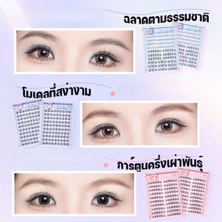 ขนตาปลอม ขนตาปลอมแบบไม่ต้องใช้กาว ขนตาปลอมธรรมชาติ ขนตา แบบธรรมชาติ Eyelashes 100/120 ช่อ/กล่อง