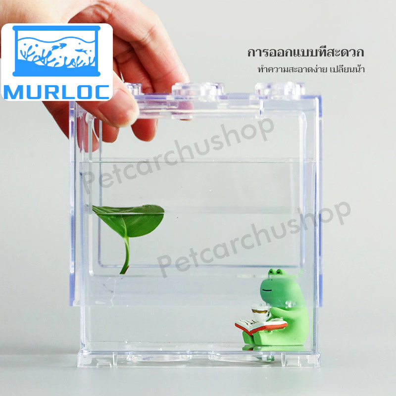ตู้ปลากัด พร้อมไฟ LED หลายขนาด กะทัดรัด ดูแลง่าย thumbnail 7