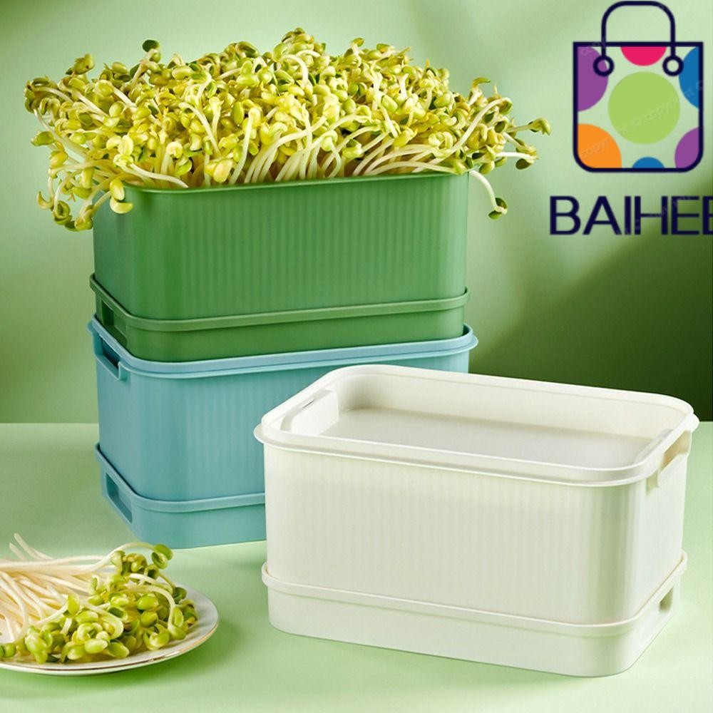 Baihee ถาดปลูกถั่วงอก, ผู้ช่วยปลูกถั่วงอกไร้ดิน, แผ่นแตกหน่อ Hydroponic, เครื่องมือพืชสวนอเนกประสงค์ถาดงอกแบบใช้ซ้ําได้