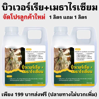 บิวเวอร์เรีย+เมธาไรเซียมGGM 1แถม1