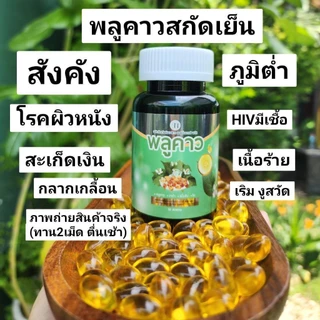 (2แถม2) SN9 พลูคาวสกัดเย็น ภูมิต่ำ ผดผื่น สะเก็ดเงิน โรคผิวหนัง กลากเกลื้อน น้ำเหลืองเสีย พลูคาวสกัด