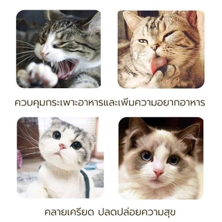 กัญชาแมว แคทนิป แคทมินต์ เกรดพรีเมี่ยมจากธรรมชาติ 100% คลายเครียดให้แมว ของเล่นแมว