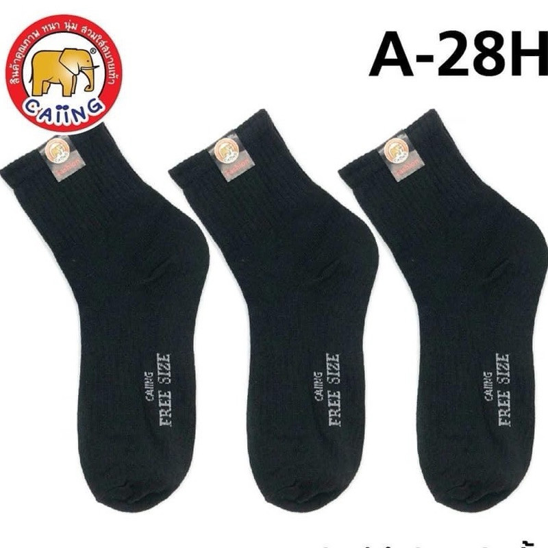 รูปภาพ 5