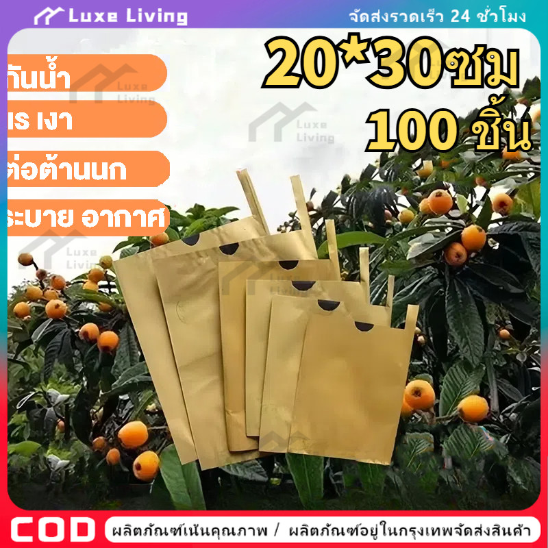 ในสต็อก ถุงห่อฝรั่ง คาร์บอนขนาด ถุงห่อผลไม้ 20*30 ซม 100 ใบ ถุงห่อมะม่วงชุนฟงแพค 2 ชั้น กันน้ำ กันแมลงและนก แข็งแรงทนทาน