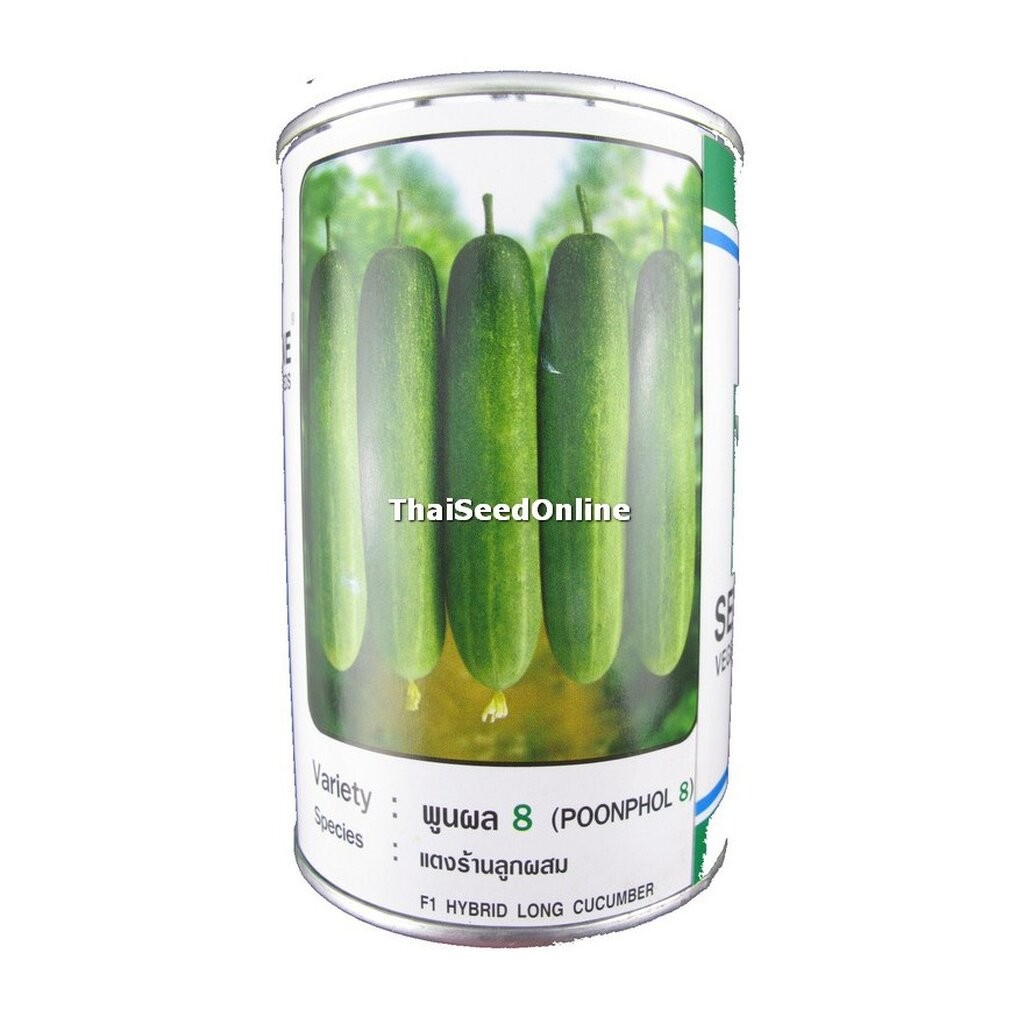 100 กรัม แตงร้านลูกผสม พูนผล 8 ตราซีดไลน์ (POONPHOL 8) Cucumber F1