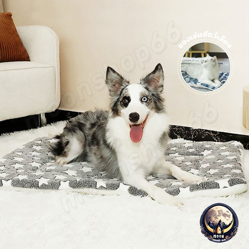 เบาะสัตว์เลี้ยง pet cushion ผ้าห่มสัตว์เลี้ยง เบาะนอนสำหรับสัตว์เลี้ยง เบาะนุ่มแมว สุนัข ผ้าห่มแมว เบาะนุ่มแมว สุนัข