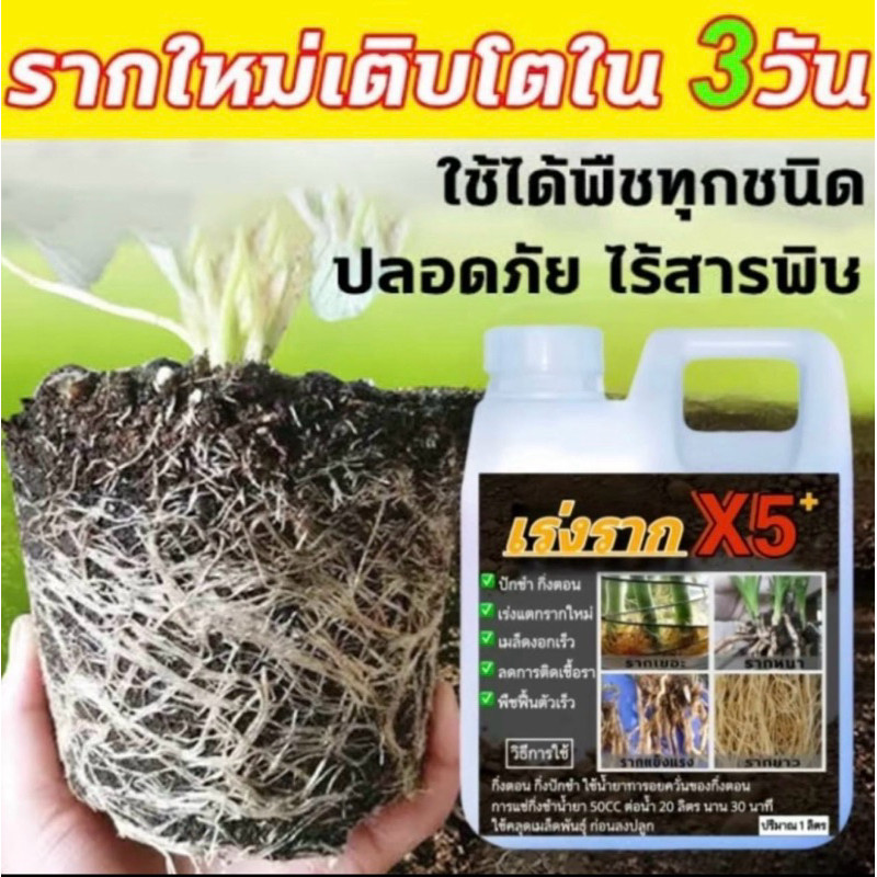 น้ำยาเร่งรากX5 1ลิตร