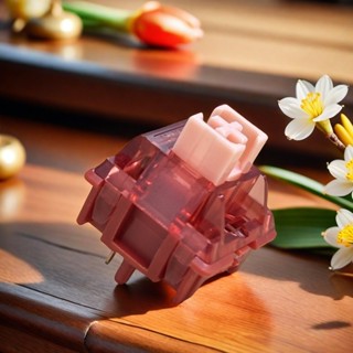 Haimu Heartbeat สวิทช์ 10PCS Linear เงียบ 5pin โรงงาน Prelub…