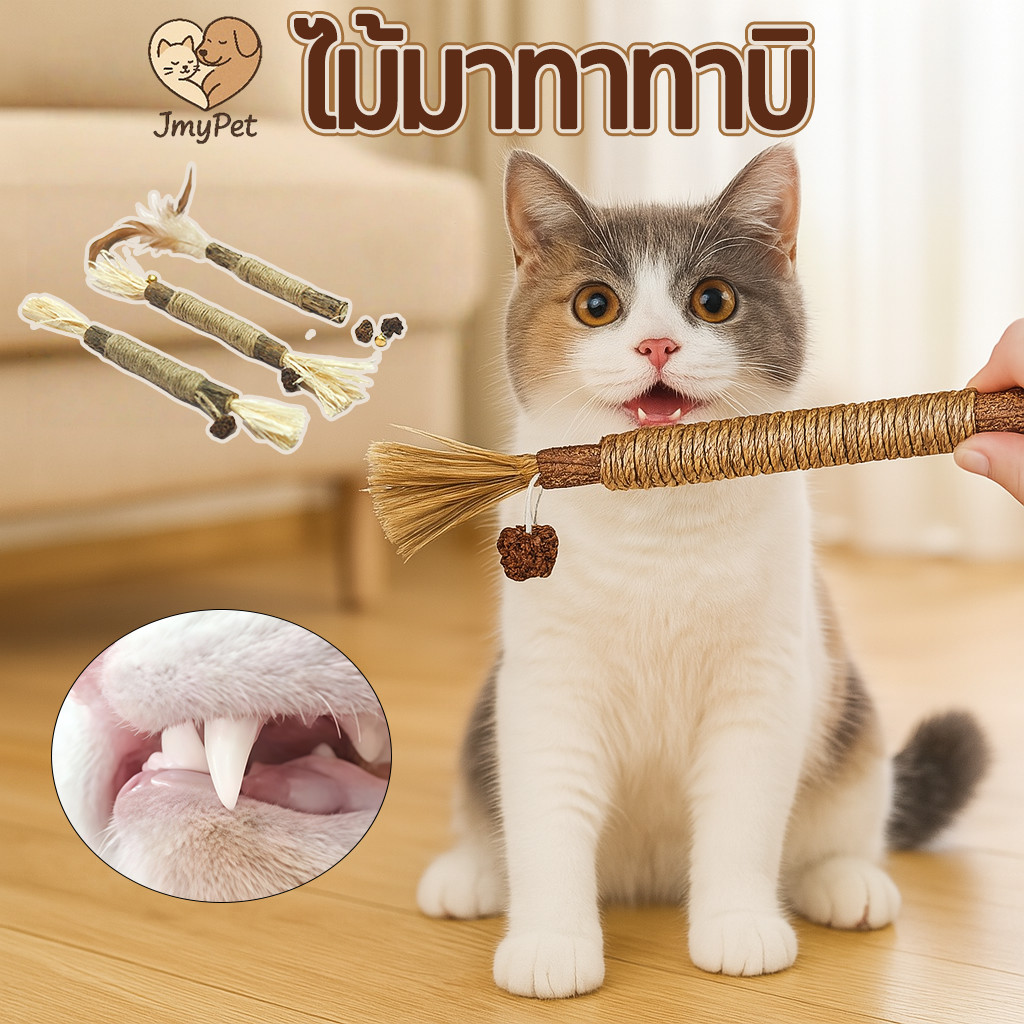 ไม้มาทาทาบิ ขัดฟันแมว แบบเชือก ไม้ขัดฟันแมว ของเล่นแมว ลดคราบหินปูน  ลดพฤติกรรมข
