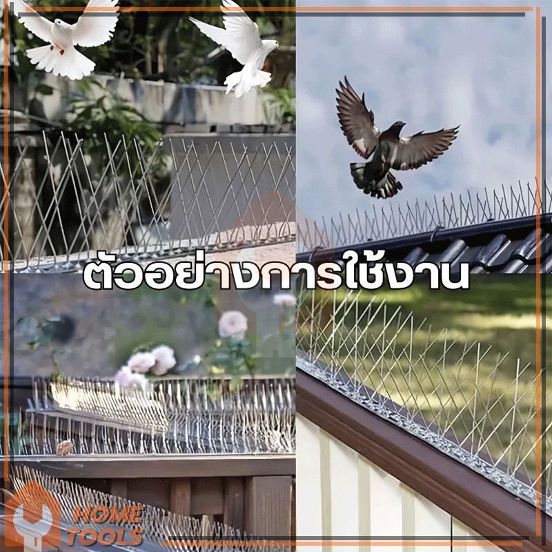Thumbnail 9