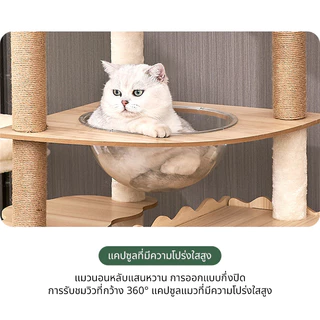 คอนโดแมวขนาดใหญ่176CMวัสดุทนทานแข็งแรง มั่นคง ใช้ได้กับแมว4-6 ตัว condo แมว คอนโดแมวไม้ ของเล่นแมว คอนโดแมวใหญ่