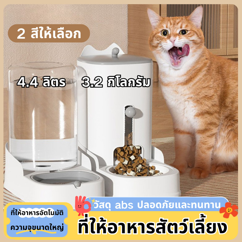 ชามอาหารแมว ที่ให้อาหารแมวอัตโนมัติ ที่ให้อาหารสัตว์เลี้ยง ที่ให้น้ำสัตว์เลี้ยง ที่ให้อาหาร-น้ำอัตโนมัติ