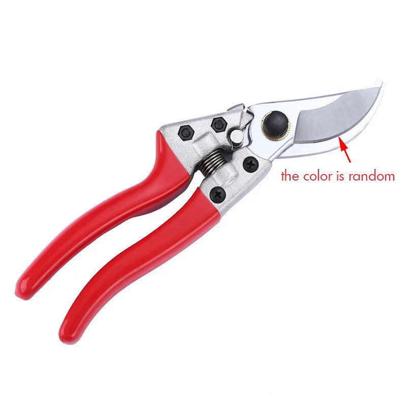 High Carbon Steel 8 inch Fruit Tree Scissors Pruning Shears Garden Tools Bonsai Pruners Gardening Se