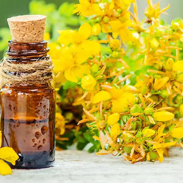 Sunshine Organic St. John Wort oil 100ml | น้ำมันเซนต์จอห์นเวิร์ตออร์แกนิก | Sunshine Market — صورة 2