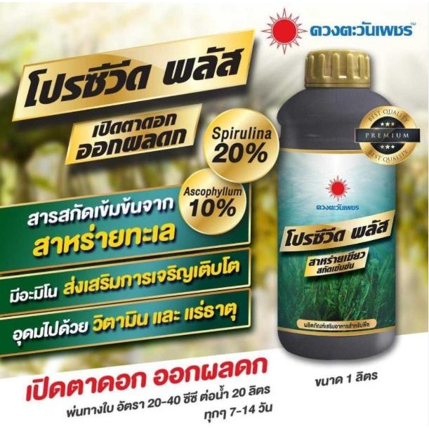 โปรซีวิด 1 ลิตร โปรซีวิดพลัส สาหร่าย ดวงตะวันเพชร เปิดตาดอก เร่งการเจริญเติบโต ขนาด1ลิตร