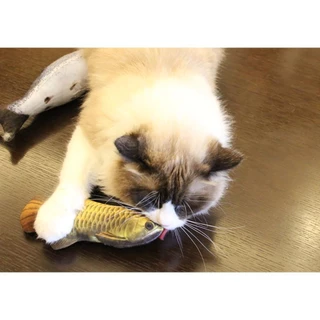 PET RECORD ตุ๊กตาแคทนิป ปลาแคทนิป ของเล่นแมว แคทนิป 20CM ปลาดุ๊กดิ๊กน้อยสีสันสดใส ดิ้นไม่ได้