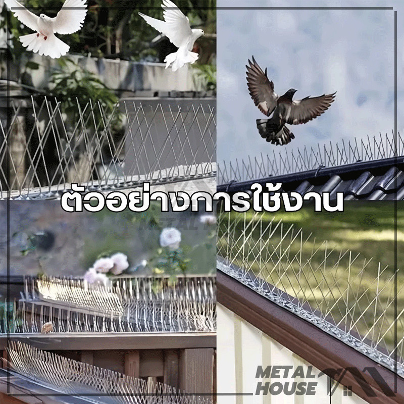 Thumbnail 9