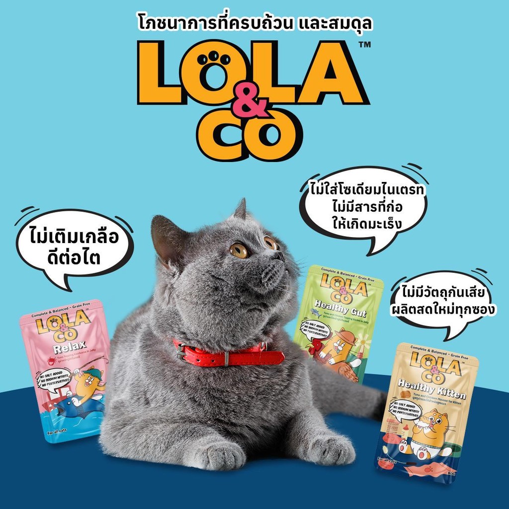 LOLA&CO [ยกโหล 12 ซอง] อาหารเปียกแมว เพื่อสุขภาพ สูตร Complete & Balance
