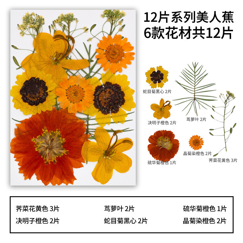 ดอกไม้แห้งวัสดุ DIY dropper วัสดุแพคเกจ DIY ที่คั่นหนังสือ รูปที่ 7