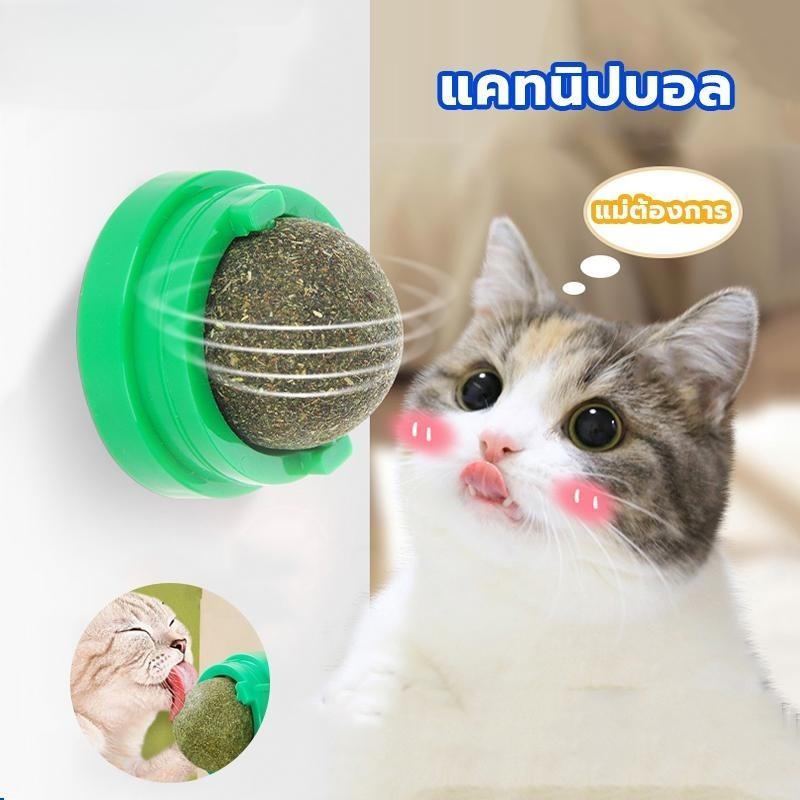 กัญชาแมว แคทนิปบอล ติดกำแพง ไม่กลิ้งหาย กันชาแมวเลีย แคทนิปบอล ติดกำแพง