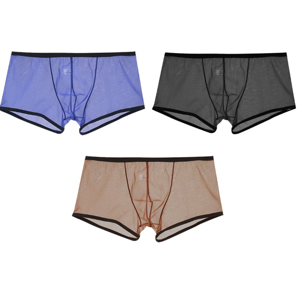 [COLORHM] ผู้ชายซีทรูกางเกงบ็อกเซอร์กางเกงขาสั้นชุดชั้นในกางเกงตาข่ายกางเกงแนวราบ - รูปที่ 4