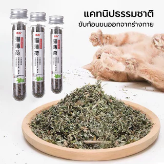 กัญชาแมว แคทนิป แคทมินต์ เกรดพรีเมี่ยมจากธรรมชาติ 100% คลายเครียดให้แมว ของเล่นแมว