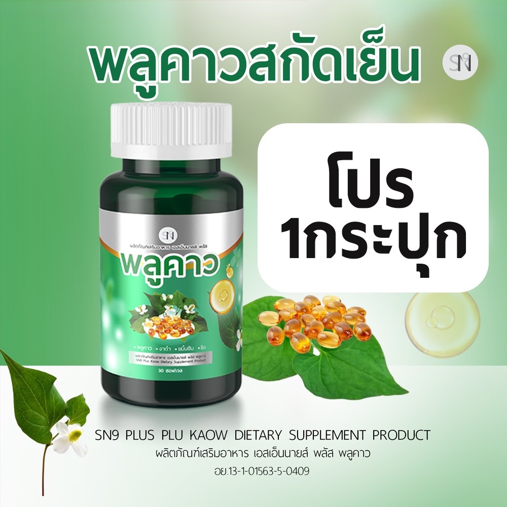 [แท้จากบริษัท]พลูคาว สกัดเย็น เชื้อร้าย น้ำเหลืองเสีย กลากเกลื้อน สังคัง สะเก็ด เสริมภูมิ คาวตอง - รูปที่ 6