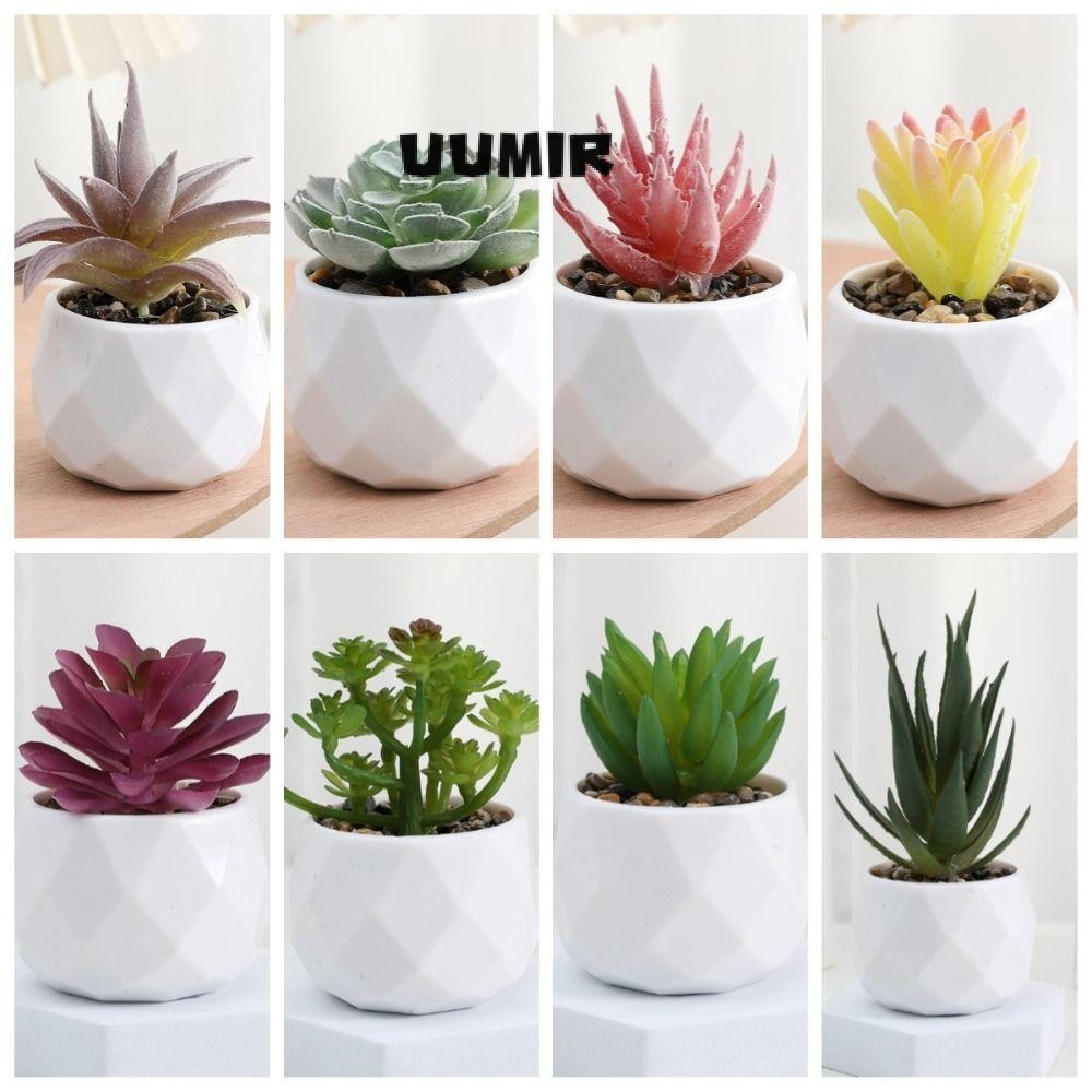 Uumir Succulents บอนไซ, พืชปลอมเอเวอร์กรีนประดิษฐ์ Succulent, จําลองกระบองเพชรพลาสติกกระถางต้นไม้ขนาดเล็กบ้าน