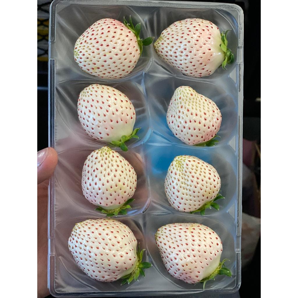 เมล็ดพันธุ์ไวท์สตรอเบอรี่ ฟูกุโอกะ 20-50 เมล็ด สายพันธุ์จากญี่ปุ่น รสหวานฉ่ำ ปลูกง่าย ได้ผลผลิตดี (ซื้อ 10 แถม 1 คละได้) - รูปที่ 4