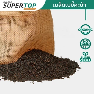 เมล็ดเพาะต้นอ่อน เบบี้คะน้า (Kale Microgreen) SUPERTOP ขนาด 1 KG.