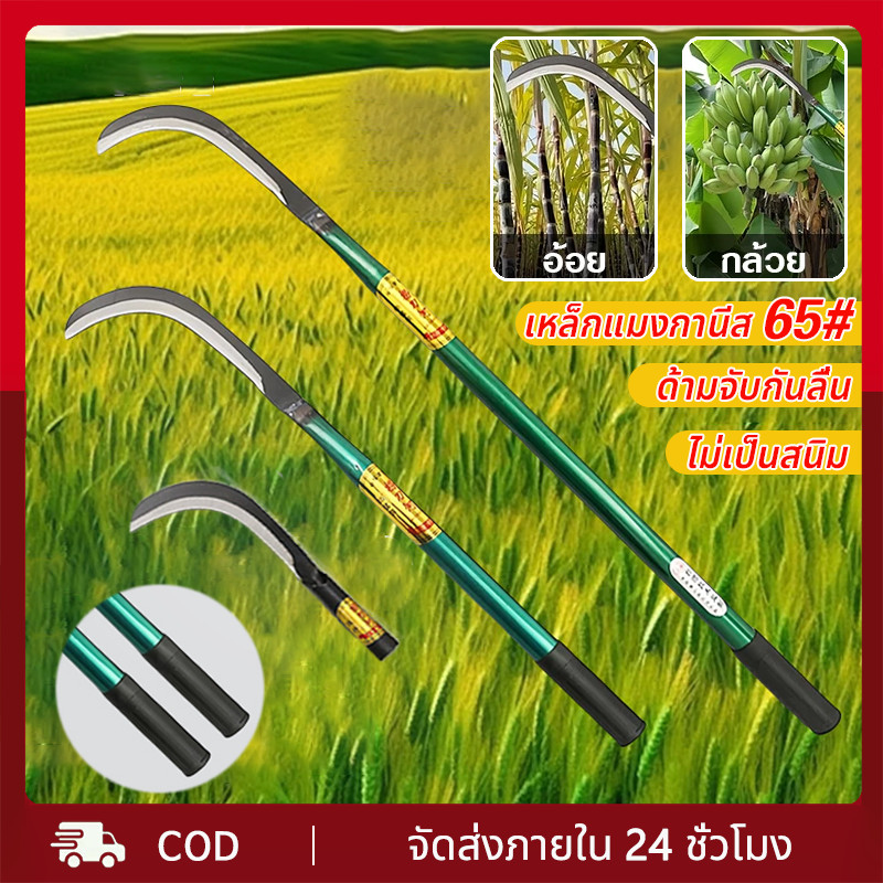 เคียว มีดขอ เคียวเหล็กแมงกานีส 40/60cm เคียวเกี่ยวหญ้า เคียวเกี่ยวข้าว มีดถางหญ้า คียวตัดกิ่งไม้ มีดดายหญ้า มีดทำสวน